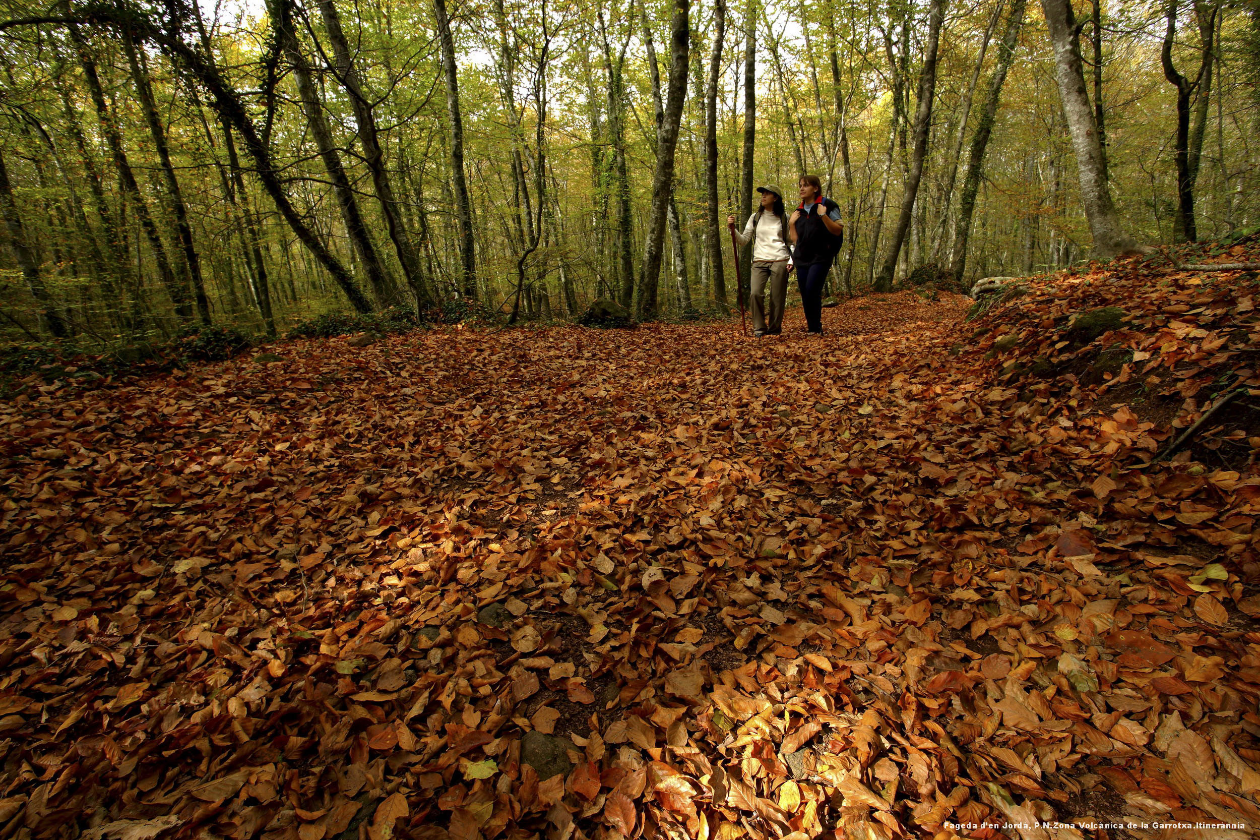 Parc Natural De La Zona Volcànica De La Garrotxa | Visit Pirineus